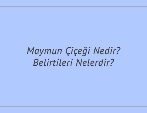 Maymun Çiçeği Nedir? Belirtileri Nelerdir?