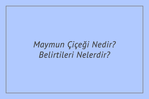 Maymun Çiçeği Nedir? Belirtileri Nelerdir?