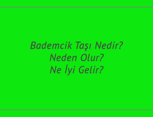 Bademcik Taşı Nedir? Neden Olur? Ne İyi Gelir?