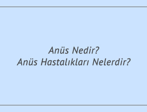 Anüs Nedir? Anüs Hastalıkları Nelerdir?