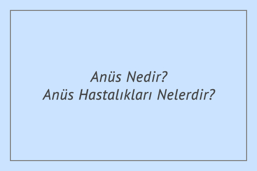 Anüs Nedir? Anüs Hastalıkları Nelerdir?