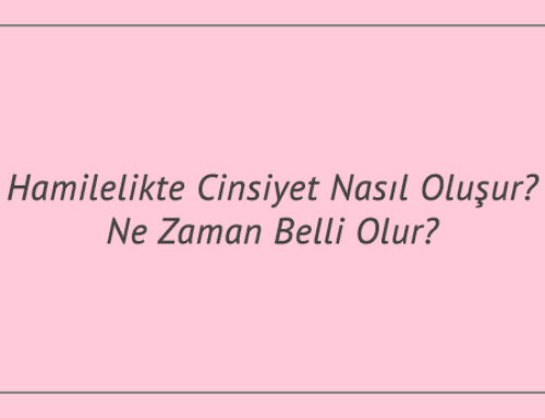 Hamilelikte Cinsiyet Nasıl Oluşur? Ne Zaman Belli Olur?