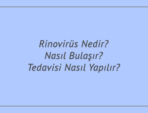 Rinovirüs Nedir? Nasıl Bulaşır? Tedavisi Nasıl Yapılır?