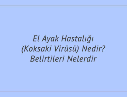 El Ayak Hastalığı (Koksaki Virüsü) Nedir? Belirtileri Nelerdir?